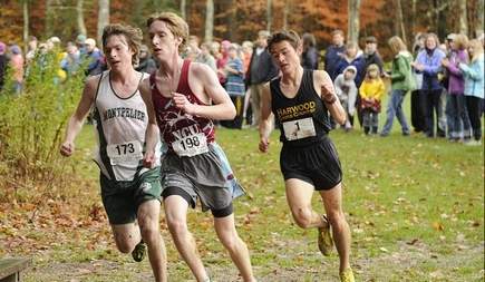 Sam Nishi, Times Argus Cross Country Runner of the Year